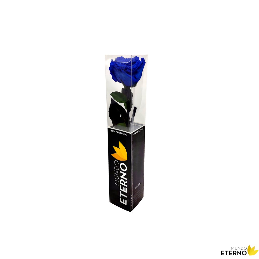 Mundo Eterno Rosa Preservada Azul Oscuro 35cm