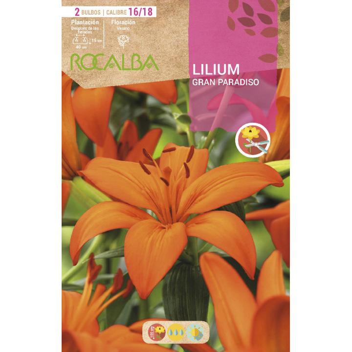Bulbo Lilium asiatic rojo 2 unidades Rocalba