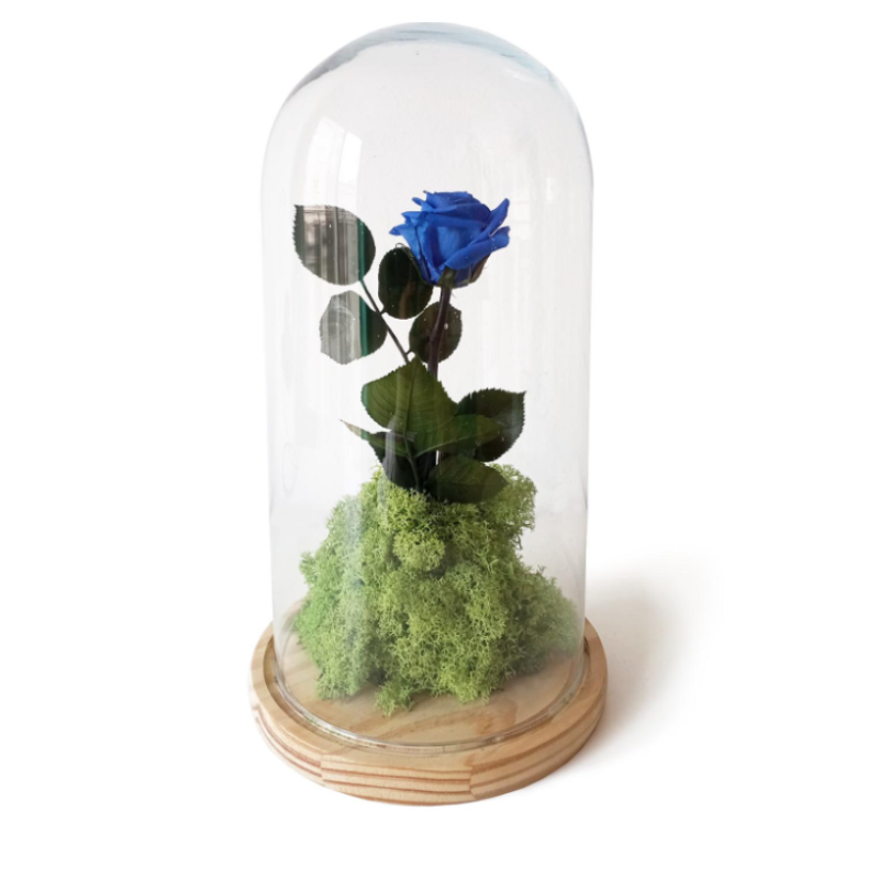 Rosa eterna – B&b Azul_0