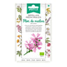 Semillas de Flor de Malva ecológicas Batlle