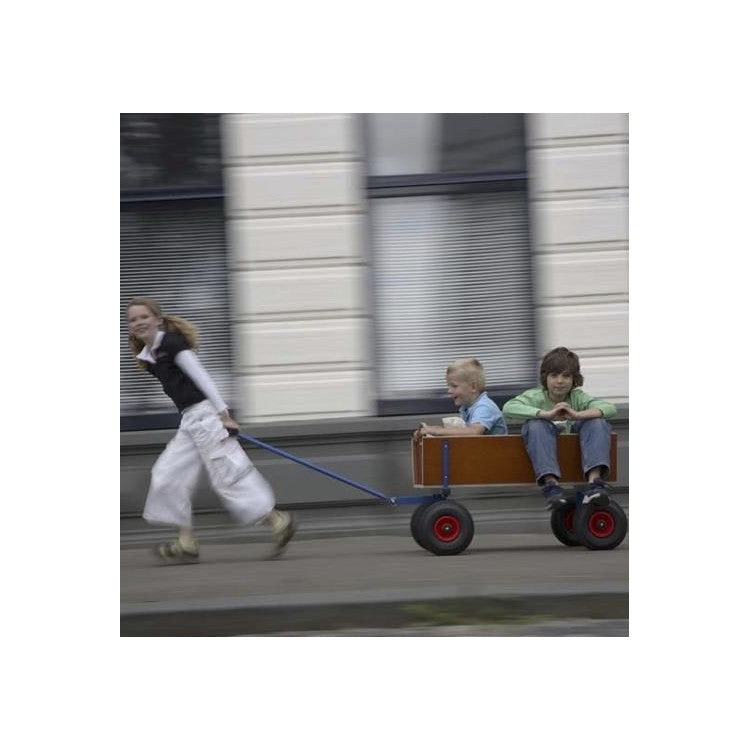 Carretilla Berg Beach Wagon L.