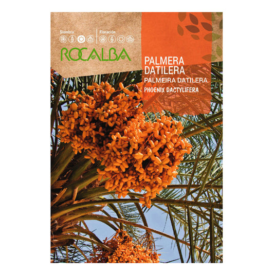 Semillas de palmera Datilera, Rocalba