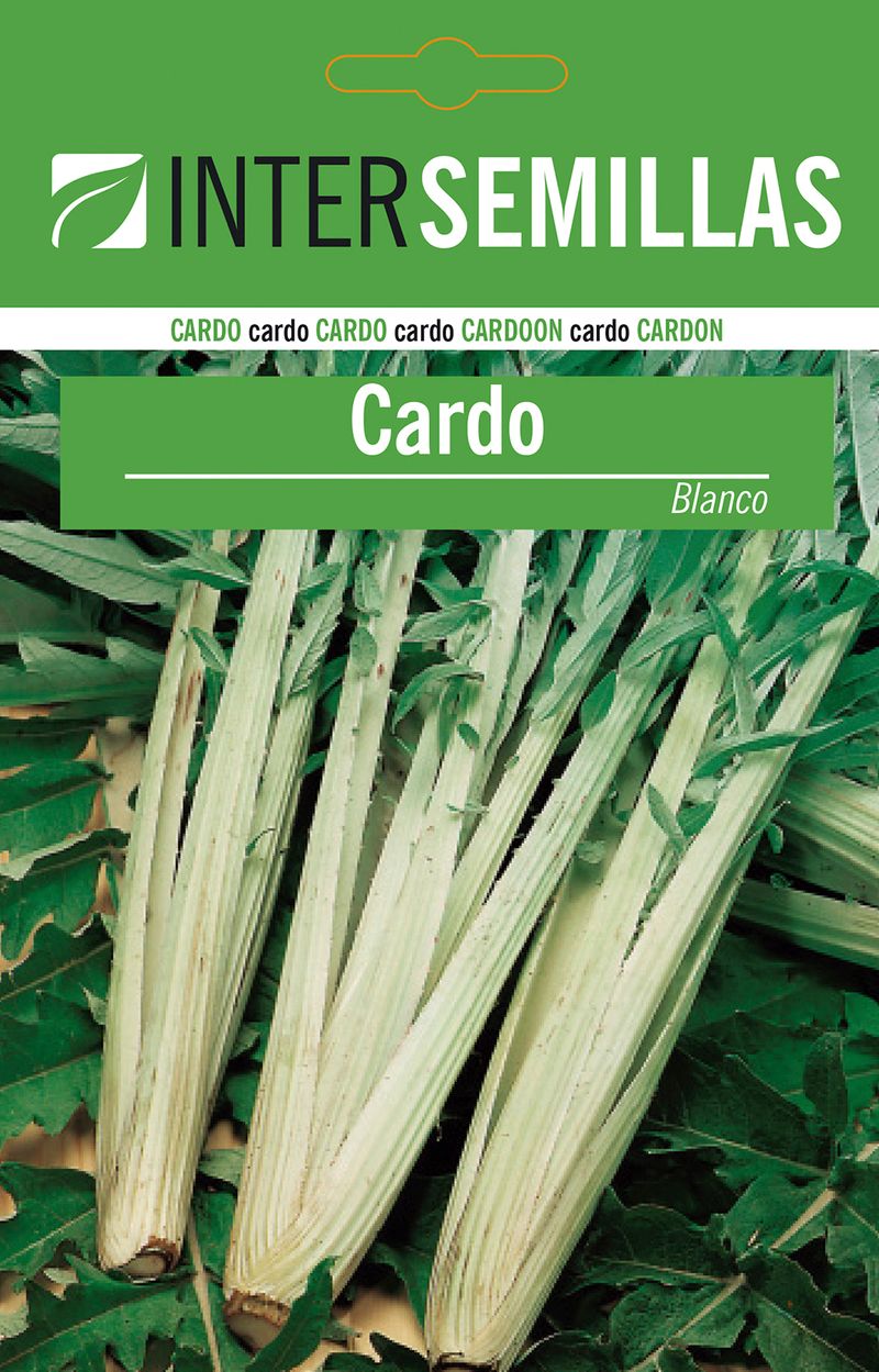 Sobre De Semillas De Cardo Blanco