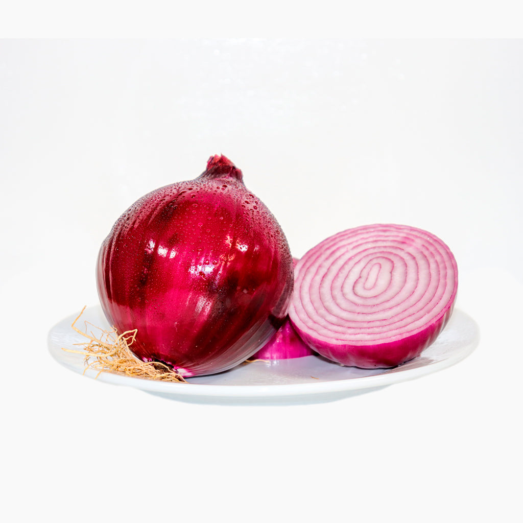 Plantón Cebolla Roja - PlantaBo_1