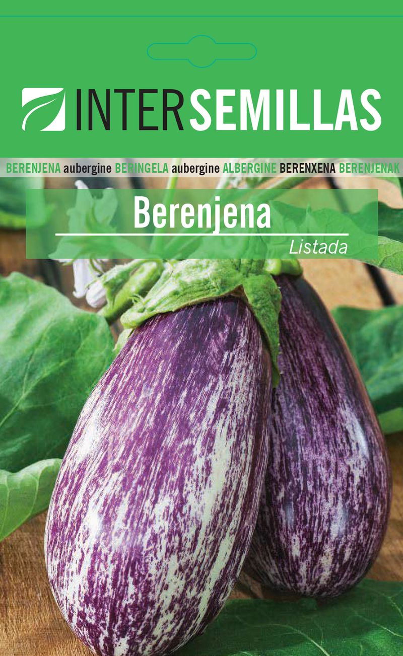 Sobre De Semillas De Berenjena Listada
