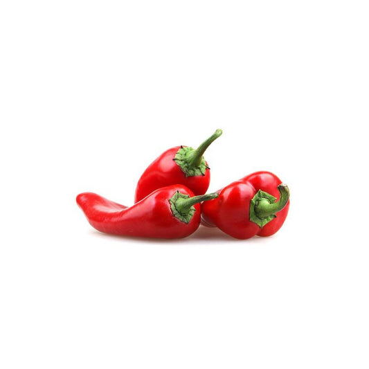 Plantón de Pimiento de Piquillo 6 uds. Gama Tradicional