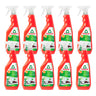 Pack 10x Limpia Vitro e Inducción Naranja eco Frosch 750 ml