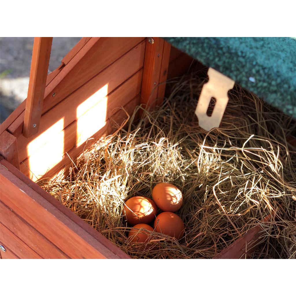 Gallinero madera Amsterdam