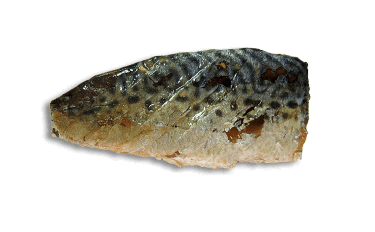 Kit Cat FilletFresh - Caballa a la parrilla 30 g Snack natural para gatos