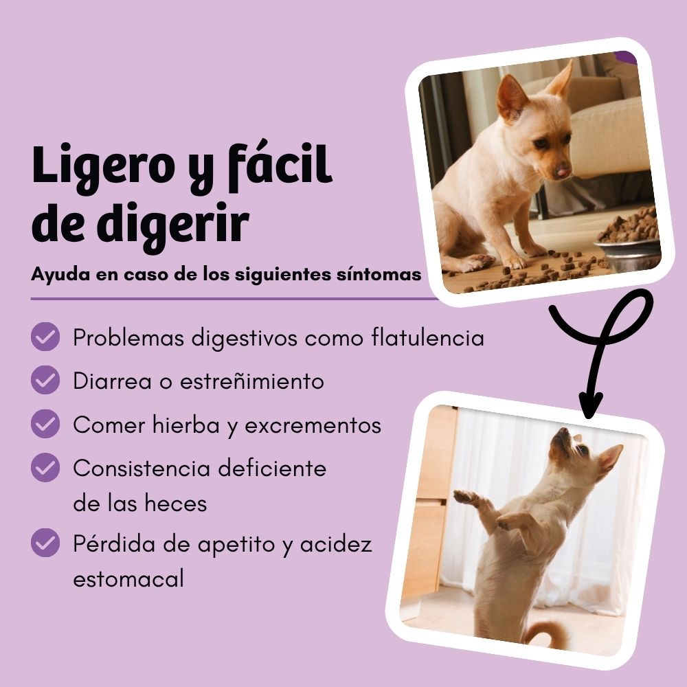 BugBell BellyVital Pienso – hipoalergénico, sin cereales, con proteína de insecto, psyllium y arándanos