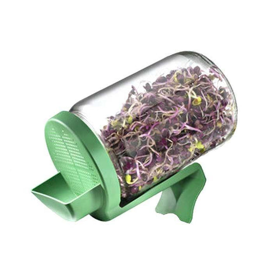 Tarro de germinar con soporte verde GermLine