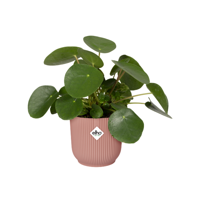 Macetero vibes fold round delicate pink Elho 30 cm