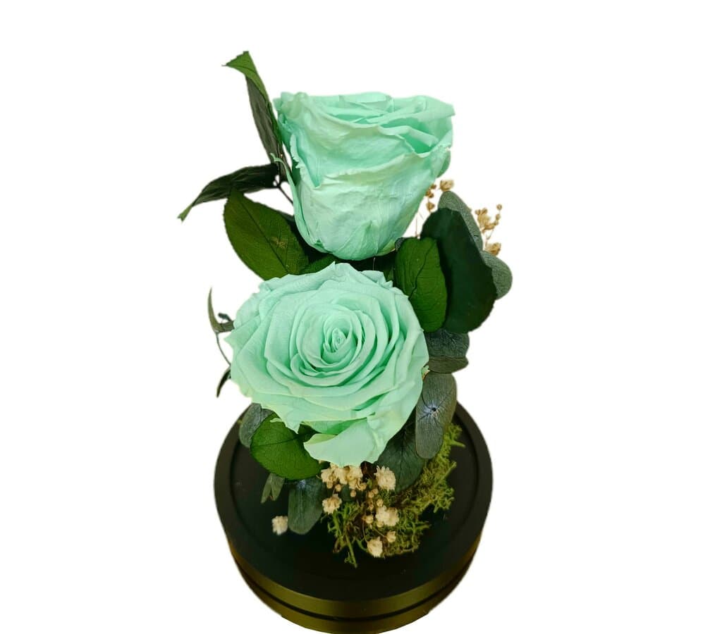 Cúpula 2 Rosas Verde Menta 12x20cm