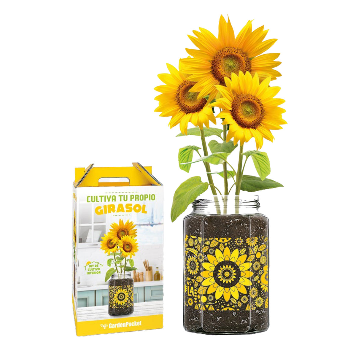 Kit de cultivo interior Girasol, Garden Pocket
