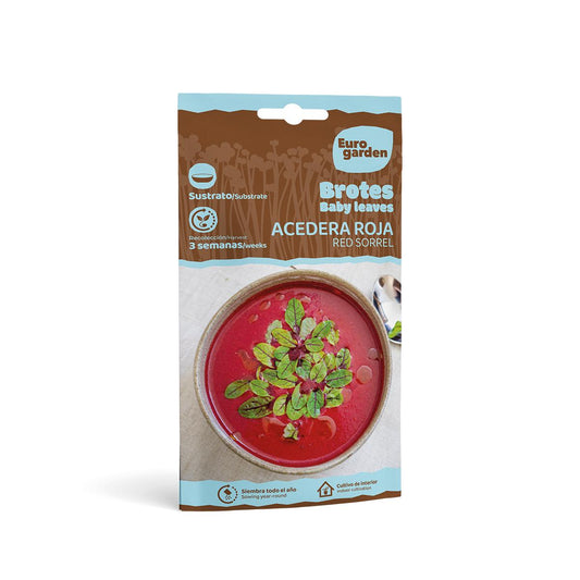 Semillas brotes Acedera Roja Eurogarden