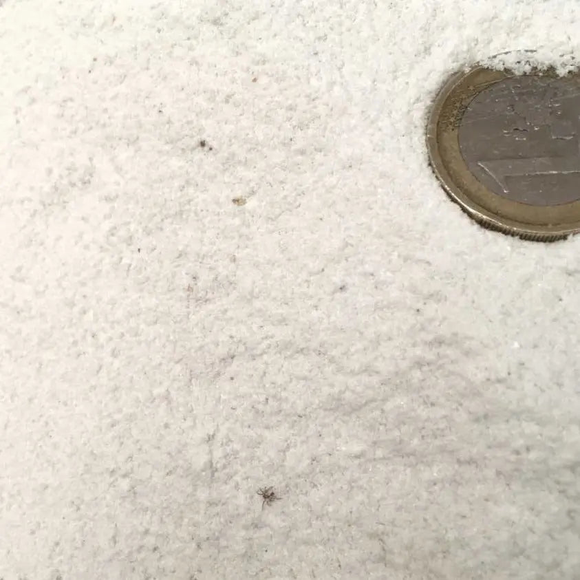 Arena Chorreo Granallado / Big Bag 1.000 Kg. / Fina 0.3-0.6 Mm Seca_4