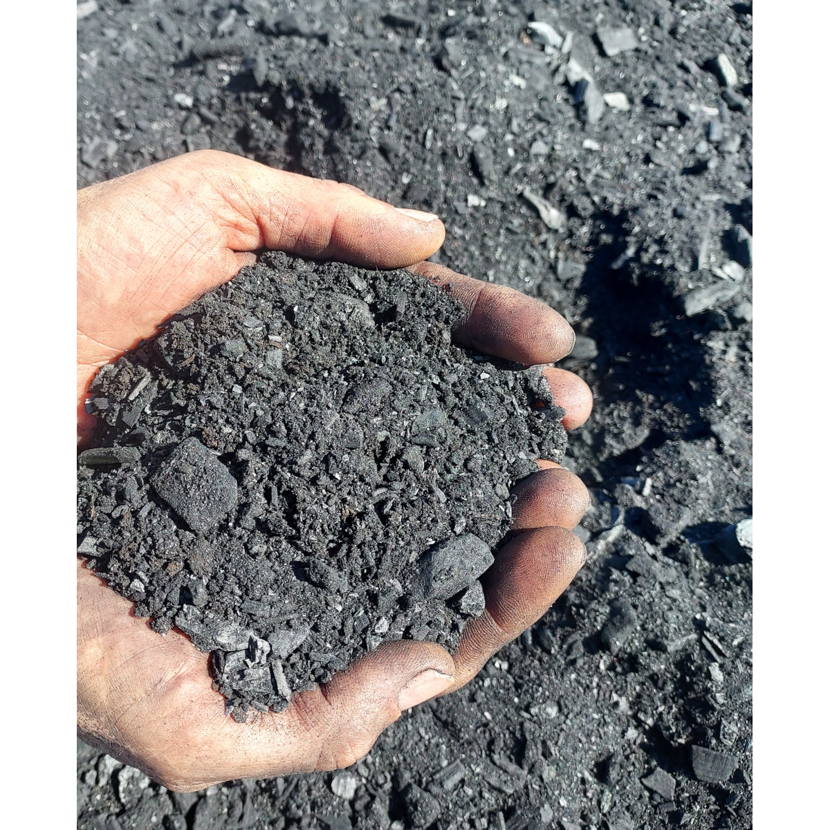 Arbochar -Enmienda con biochar para árboles- LivingChar 500L
