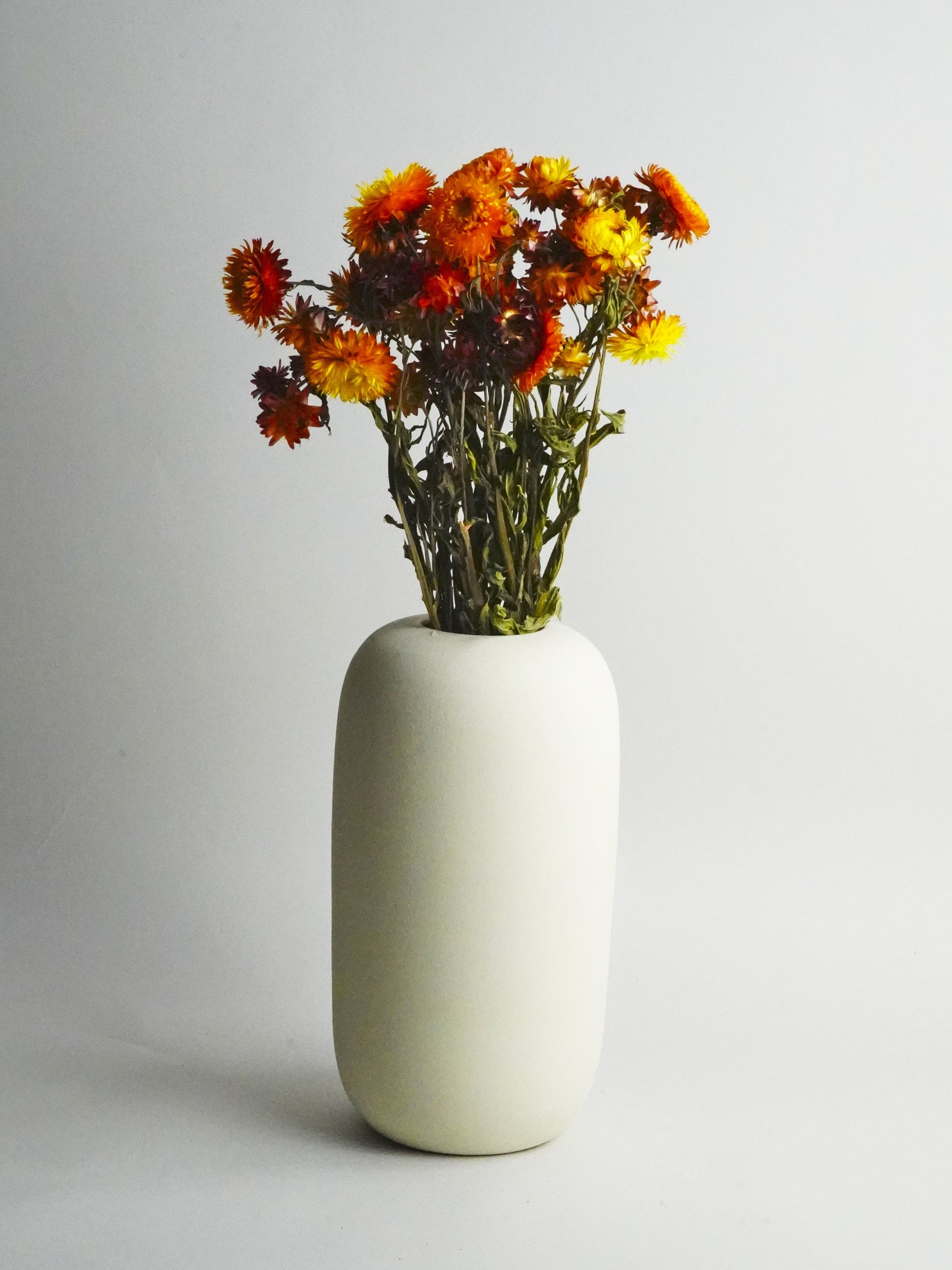 Helichrysum Flor Seca