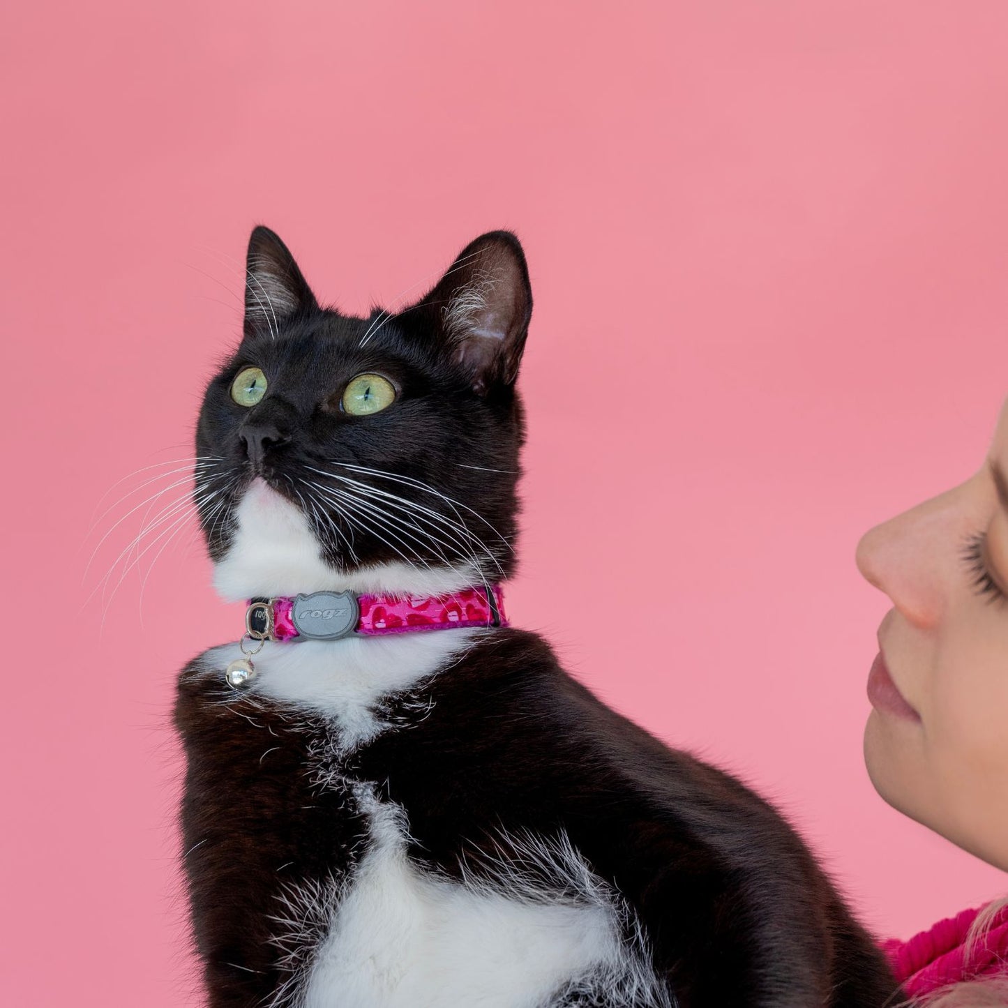 Collar Para Gato Fashioncat Estampado Rosa Rogz Ajustable 20-31cm