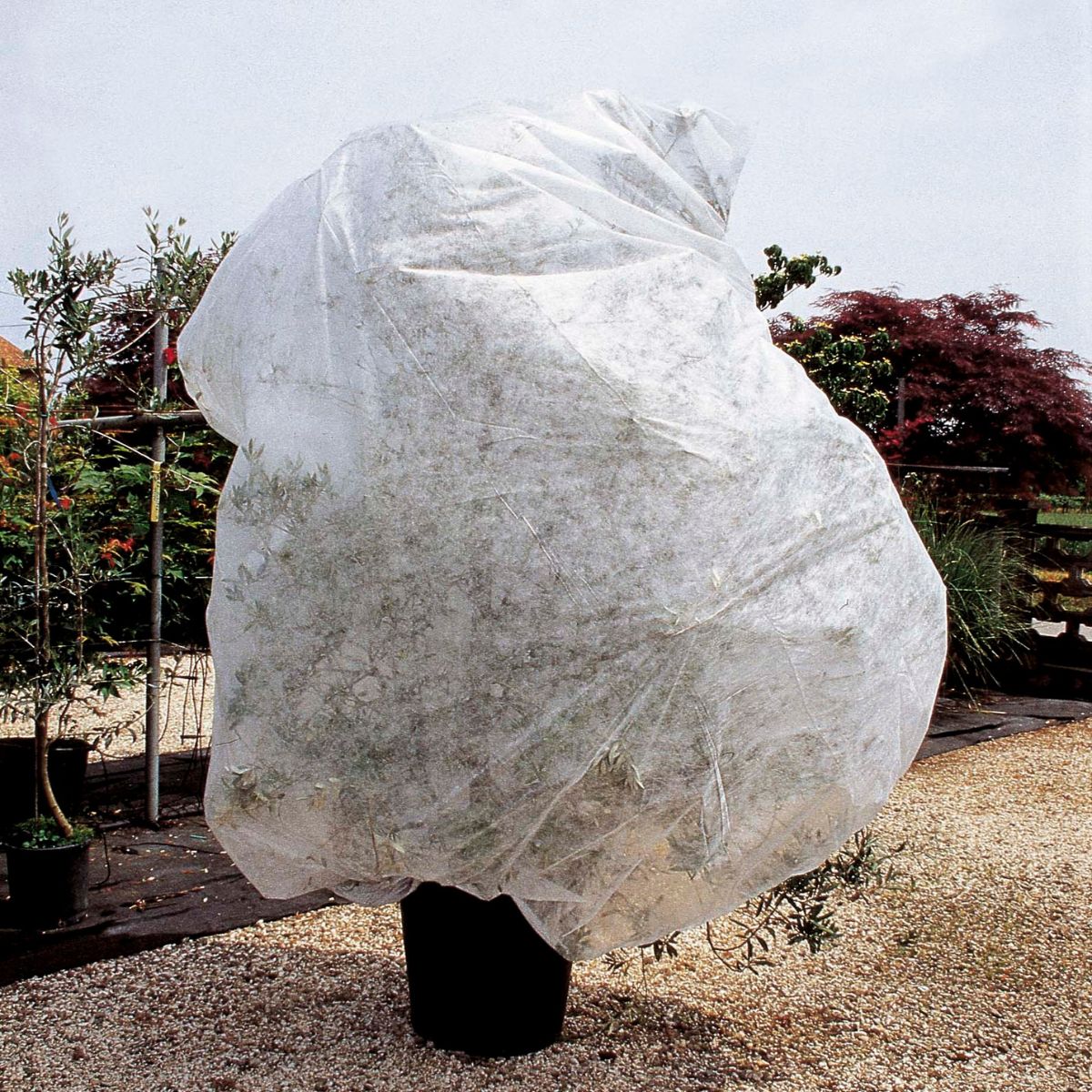 Funda de hibernación antiheladas Verdemax 2 ud 1,5 x 3,6 m