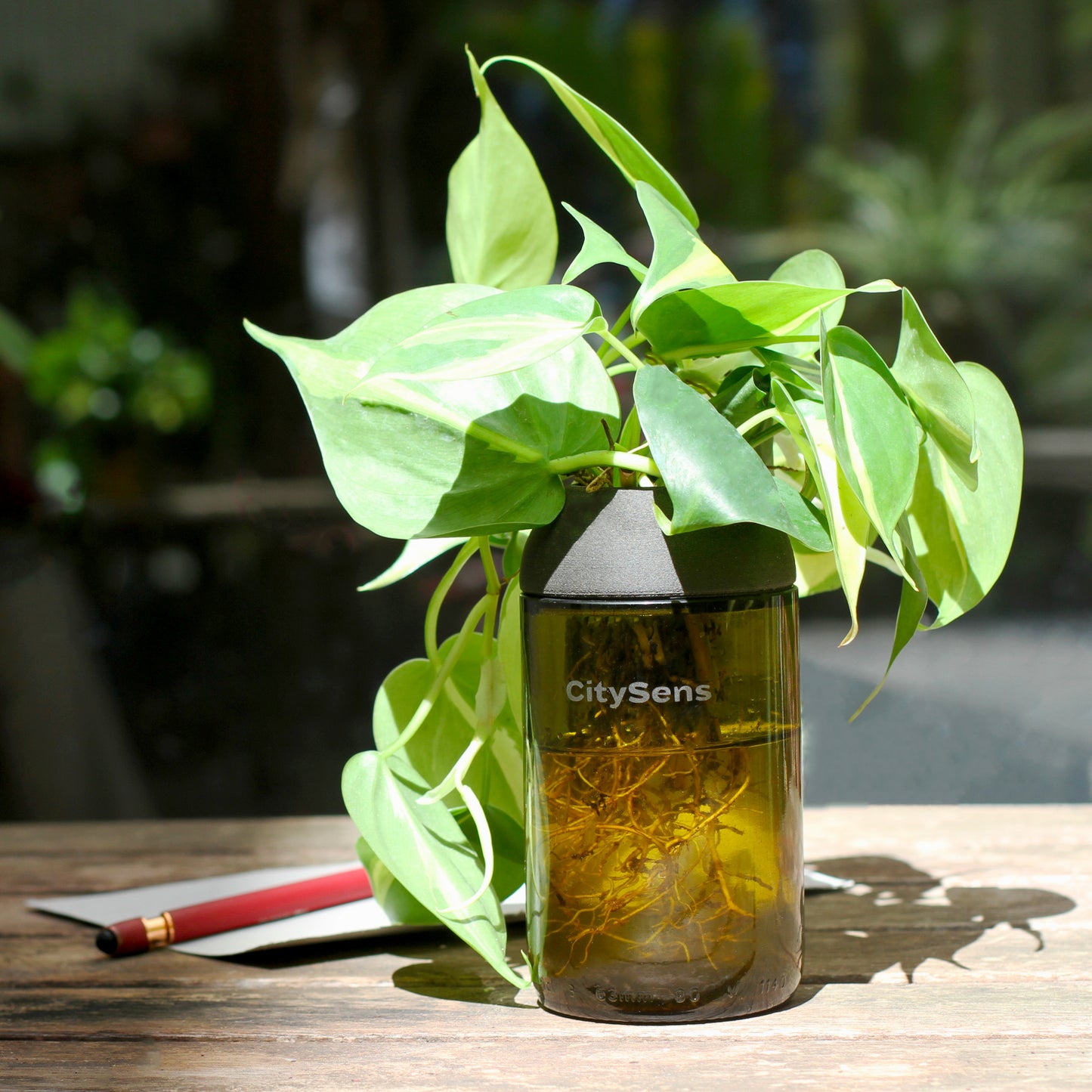 Macetero Transparente Citysens Con Planta Y Soporte De Ébano – Ámbar, Vidrio Reutilizado Y Biofilamento De Madera 3d