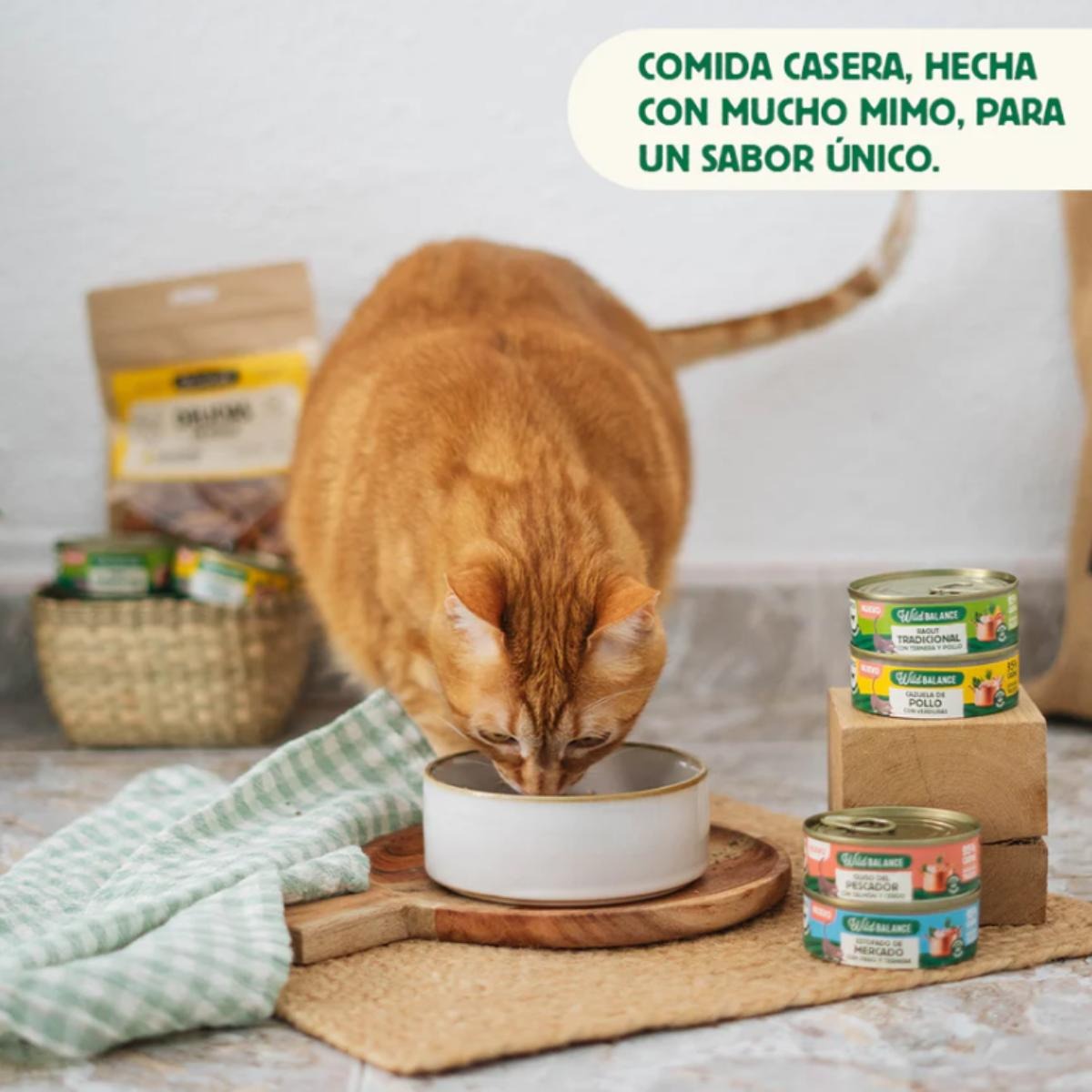 Pack Cazuela de pollo para gatos 6 x 80 g Wild Balance