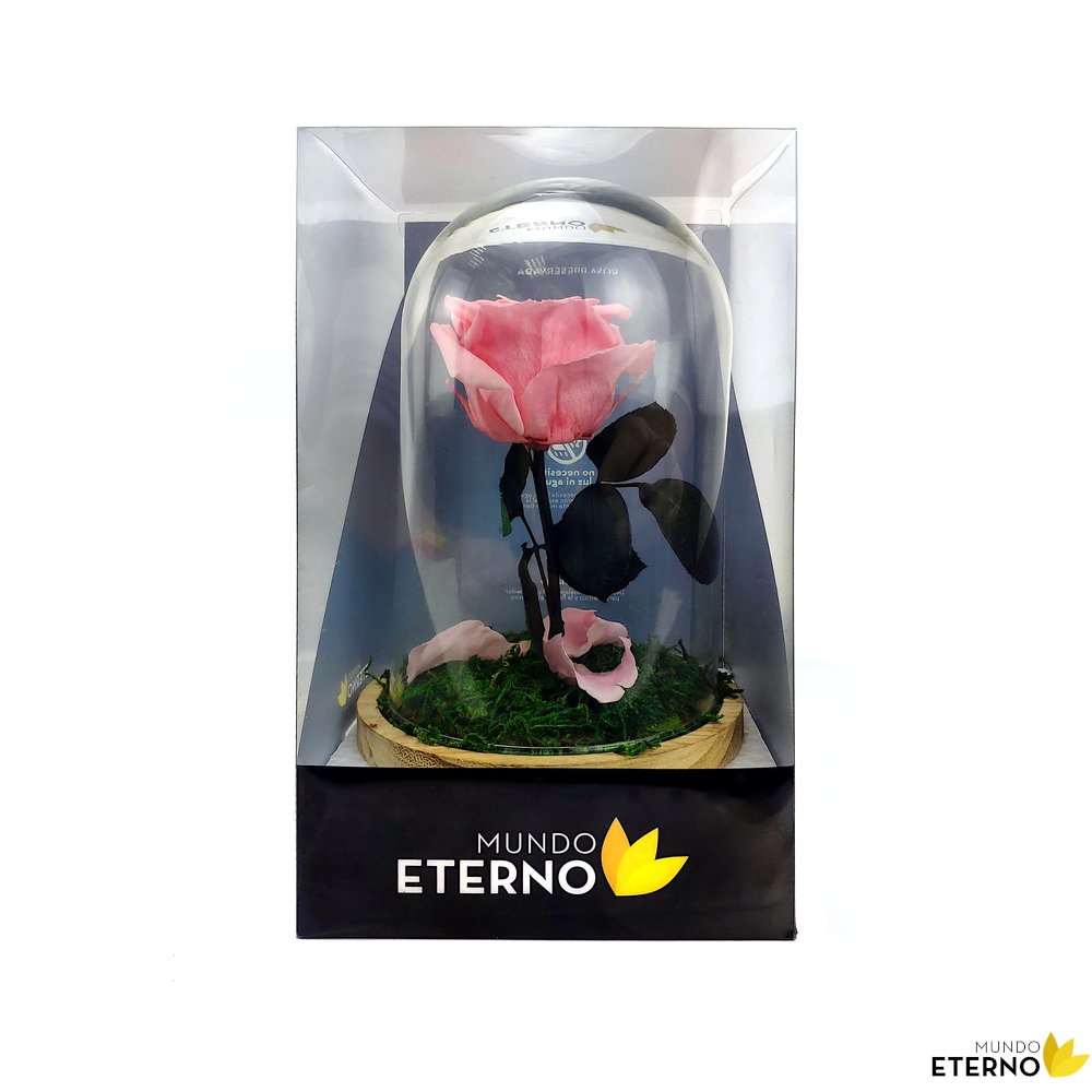 Mundo Eterno Rosa En Cúpula Rosa 12x20cm