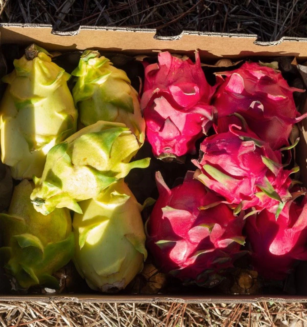 Pitahaya O Fruta Del Dragón - Caja De 2kg_5