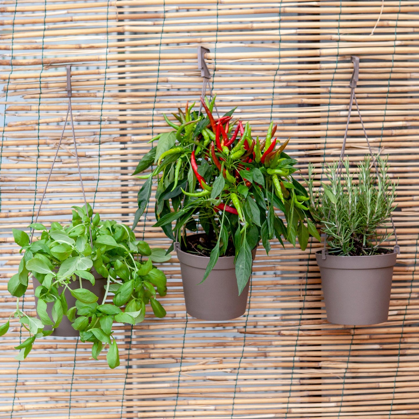 3 Macetas Cilíndricas Ø 14 Cm Con Ganchos, De Polipropileno Gris