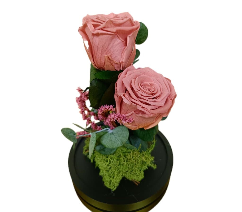 Cúpula 2 Rosas Rosa Vintaje 12x20cm