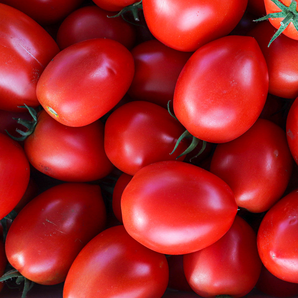 Plantón Tomate Pera Rastrero 6 Unidades - Plantabo_1