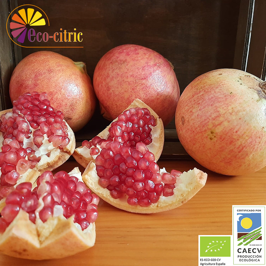 Granada Ecológica 10kg._0