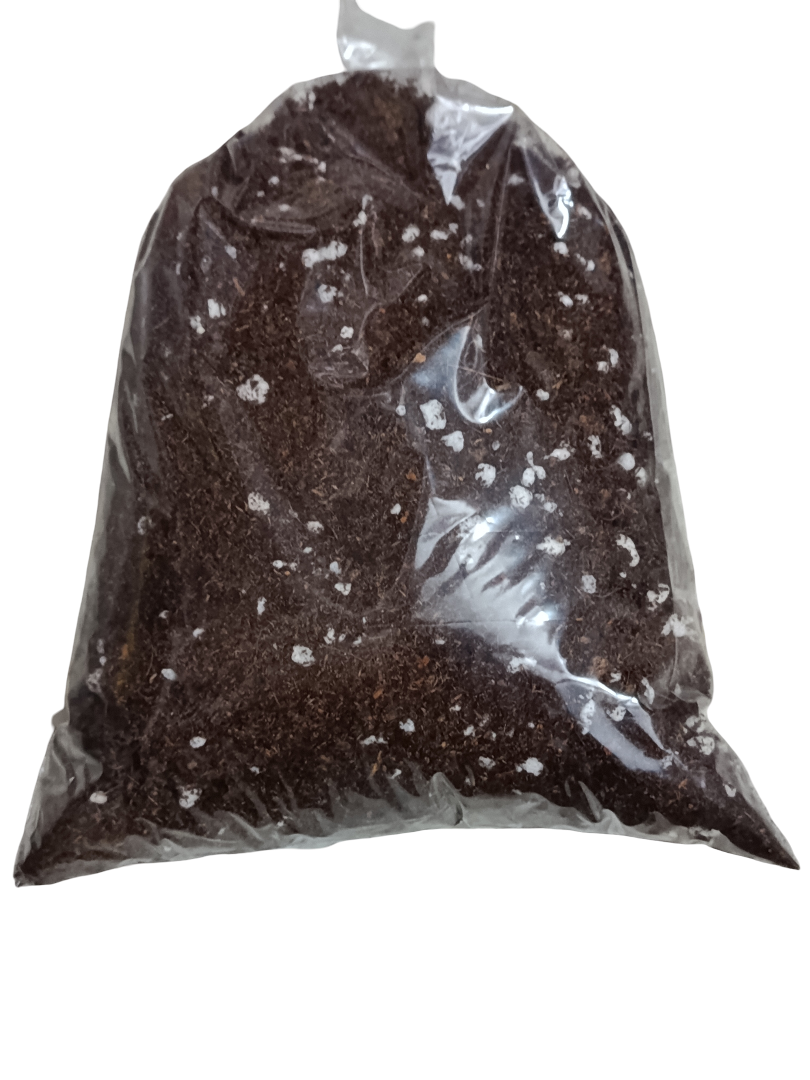 Sustrato Universal Para Plantas 1l Con Coco, Turba Y Perlita_0