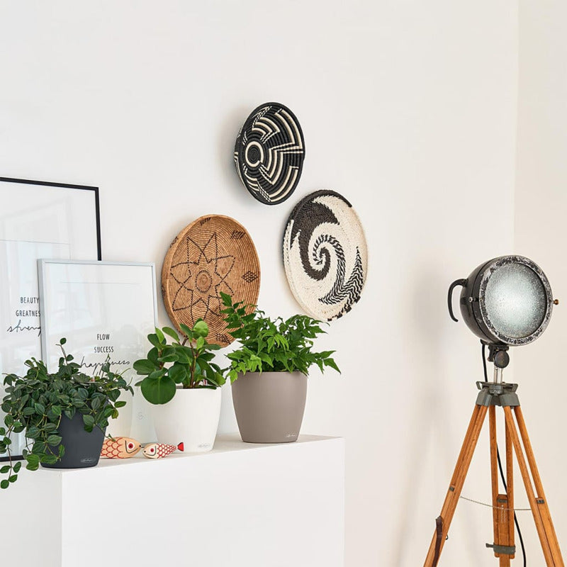Lechuza Macetero Classico Color 18 All-in-one Blanco_5