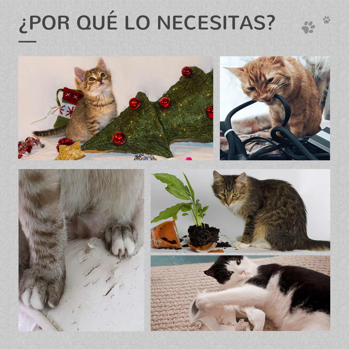 Pawhut Árbol Rascador Para Gatos Altura 120 Cm Plataformas Cueva Hamaca Bola_5