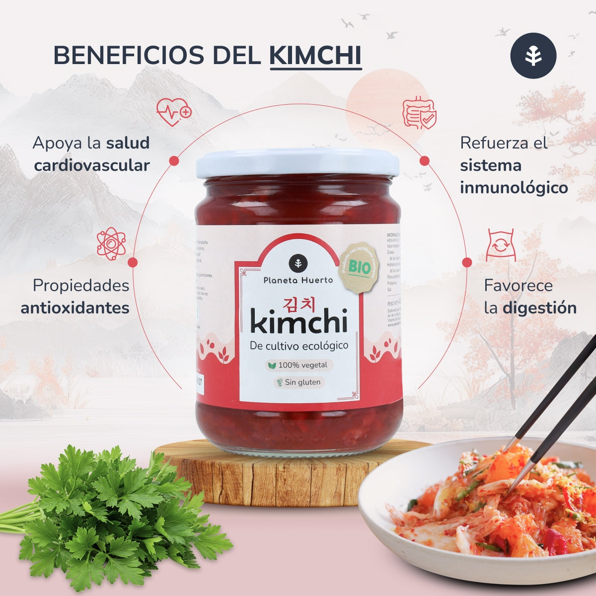 Pack 3x Kimchi ECO Planeta Huerto 420 g