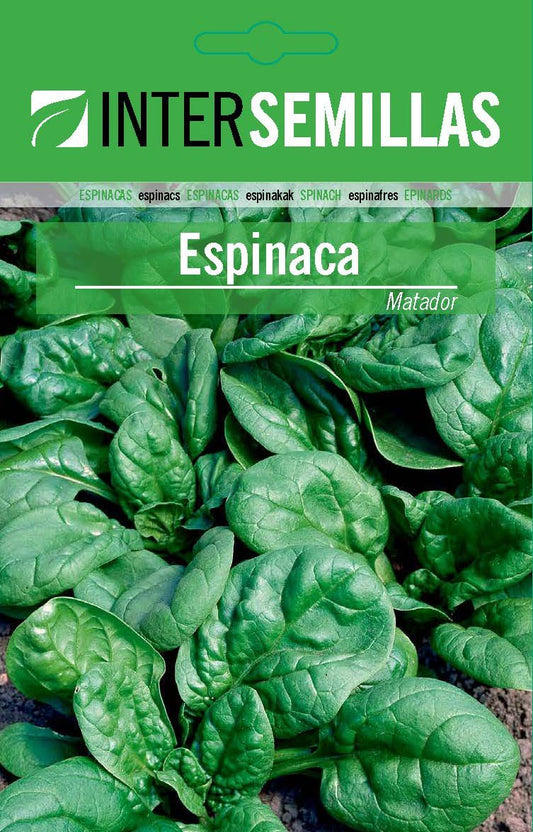 Espinaca Matador Sobre De Semillas Clasico Sellado