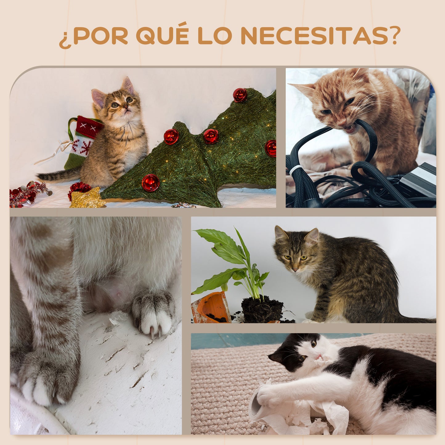 Pawhut Juego De Estanterías Para Gatos De 4 Piezas Beige_5