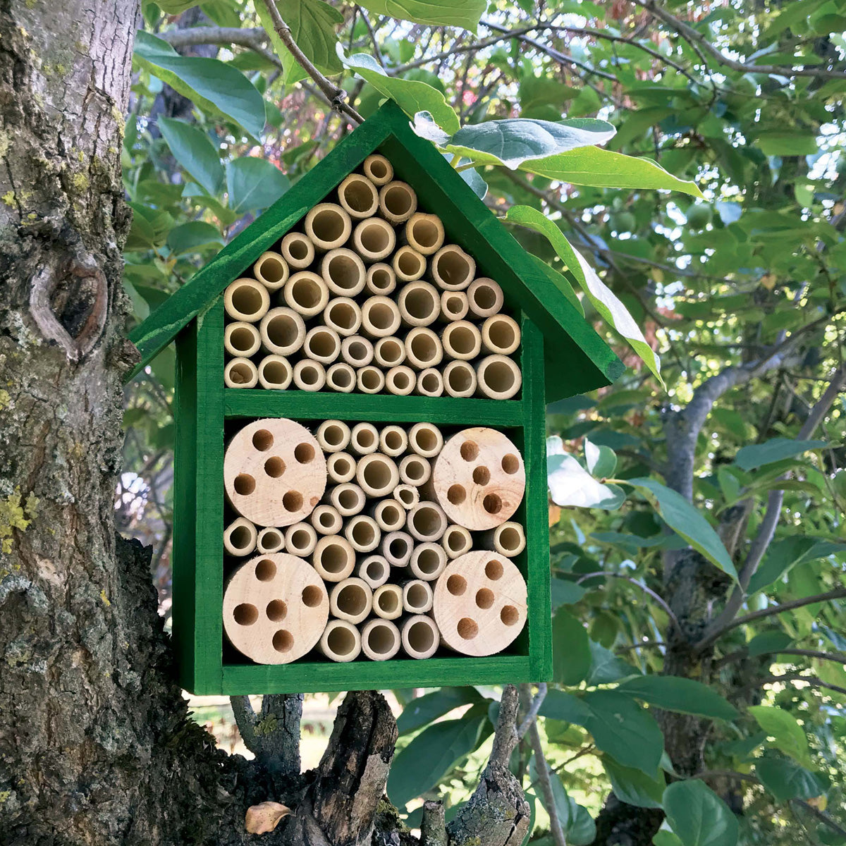 Hotel de insectos en Bambú Verdemax