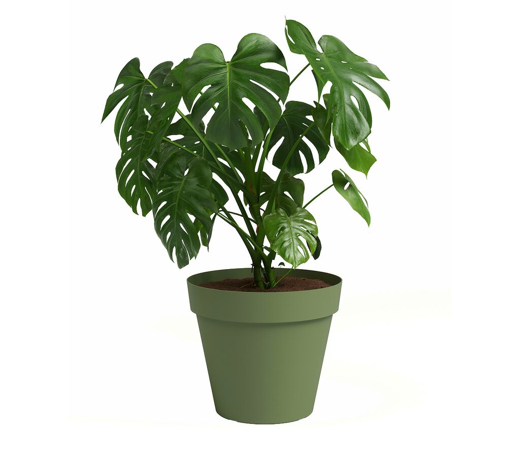 Artevasi Macetero De Plástico Capri Verde 25cm_1