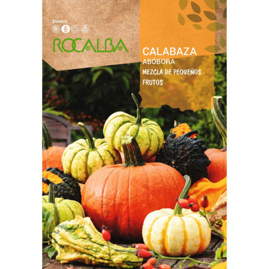Semillas de Calabaza mezcla de pequeños frutos Rocalba