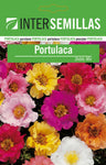 Sobre Semillas Flores Portulaca Doble Mix