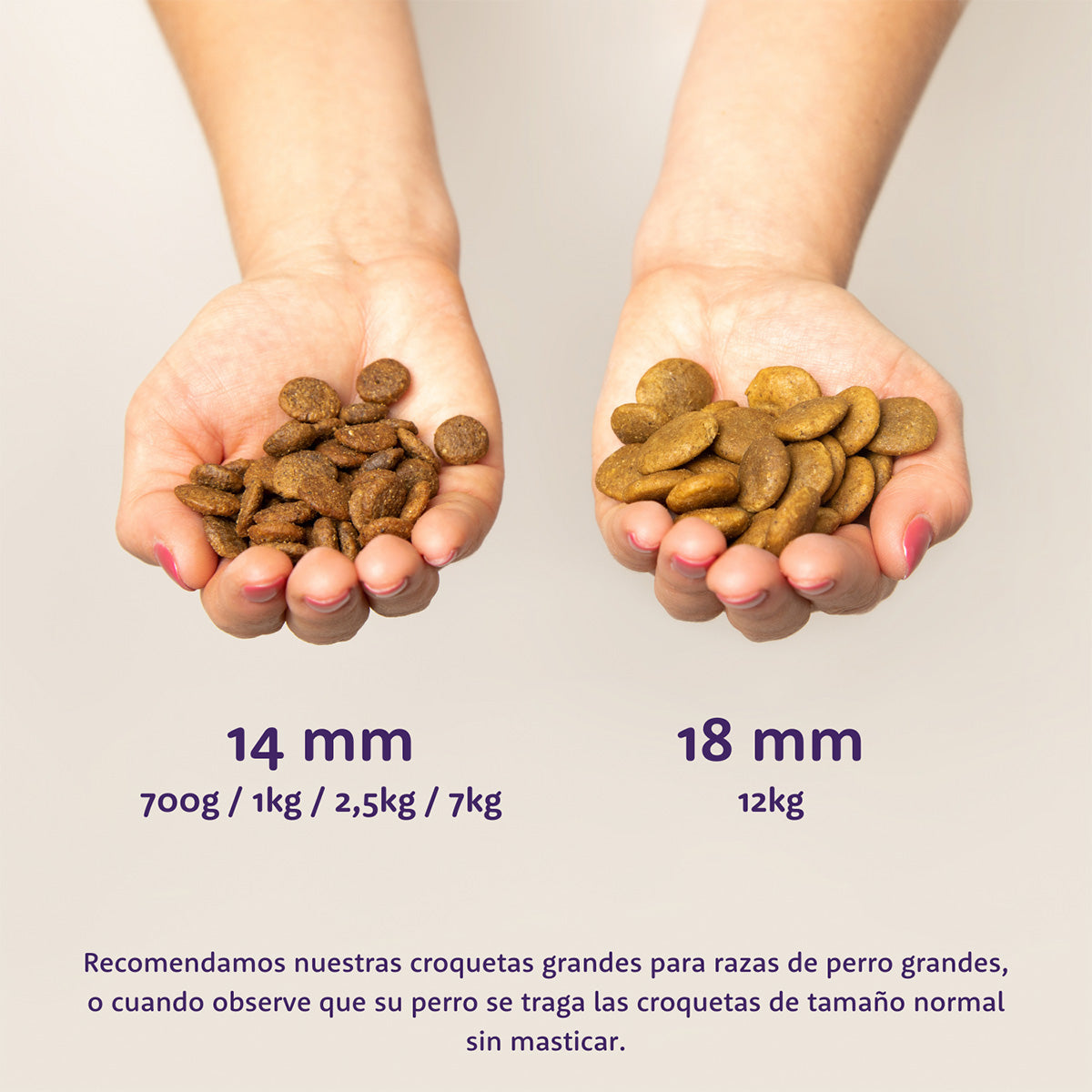 Pienso para perros Salmón Noruego Edgard & Cooper 1 Kg