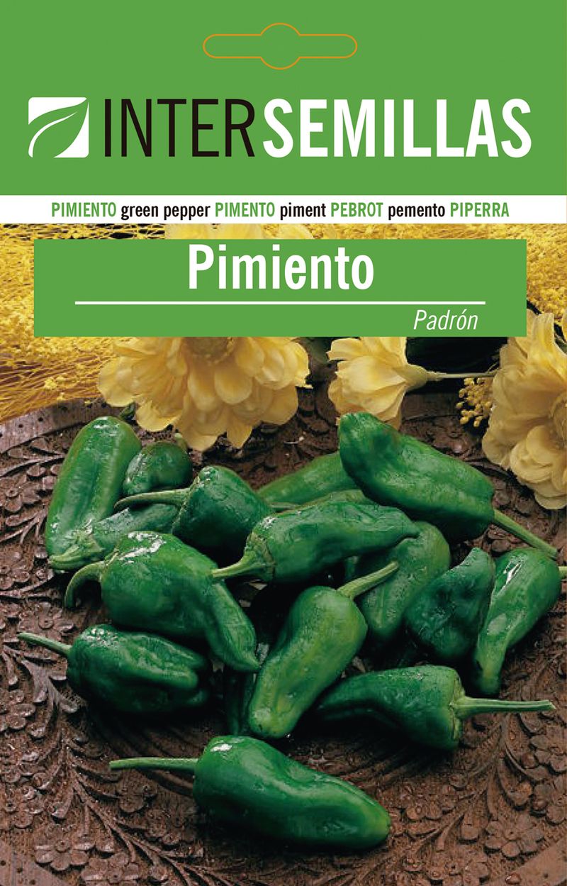 Sobre De Semillas Pimiento Padrón_0