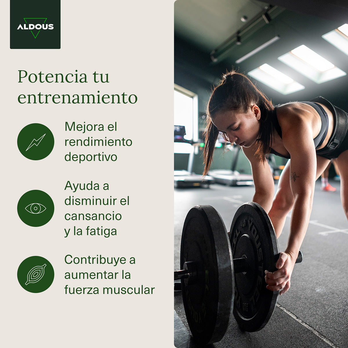 Creatina Monohidratada Aldous 3000 mg 200 comprimidos