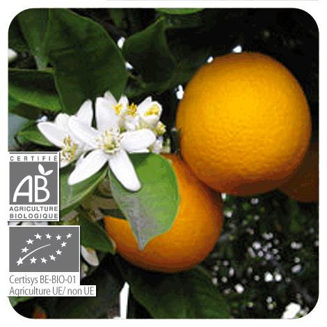 Aceite esencial Naranja dulce BIO Pranarôm 10 ml