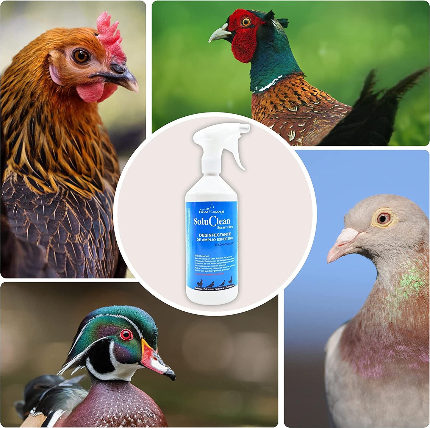 Espray Para Limpieza Instalaciones De Animales Y Material Limpieza De Gallineros Y Perreras Soluclean Espray 1 Litro_4