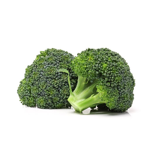Plantón de Brocoli verde 6 uds. Gama Tradicional