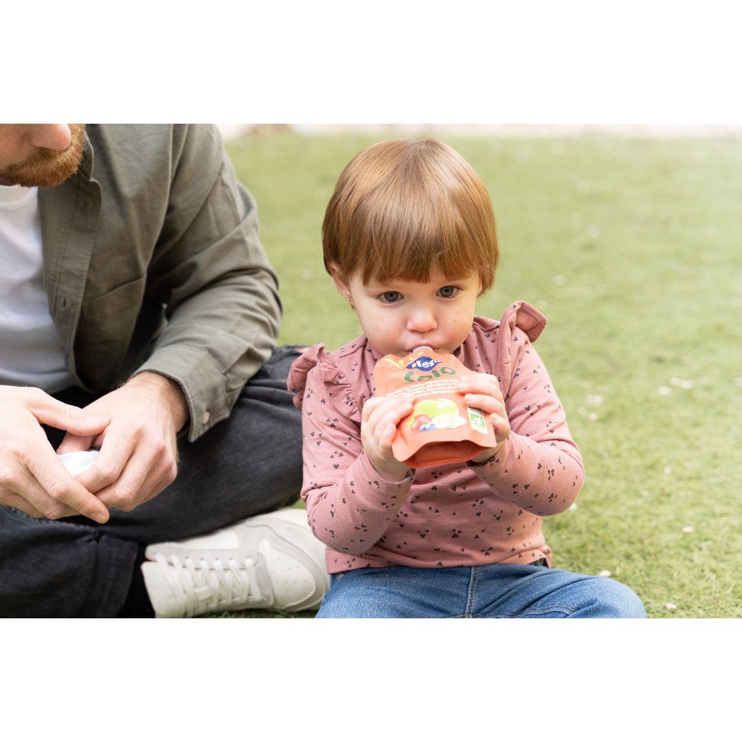 Bolsita Fruta 100 % Eco sabor Manzana, Fresa, Plátano y Arándanos 4x100 g-Hero Solo