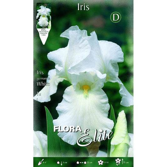 Bulbo Iris Germánica blanco 1 ud